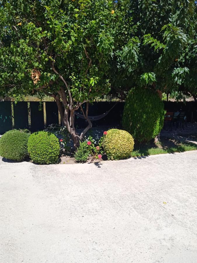 Katerina House Daire Finikounta Dış mekan fotoğraf
