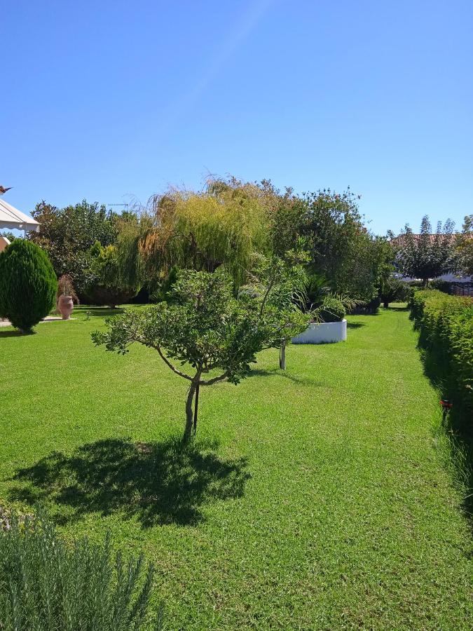 Katerina House Daire Finikounta Dış mekan fotoğraf