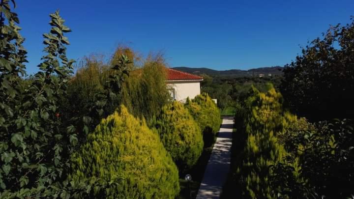 Katerina House Daire Finikounta Dış mekan fotoğraf