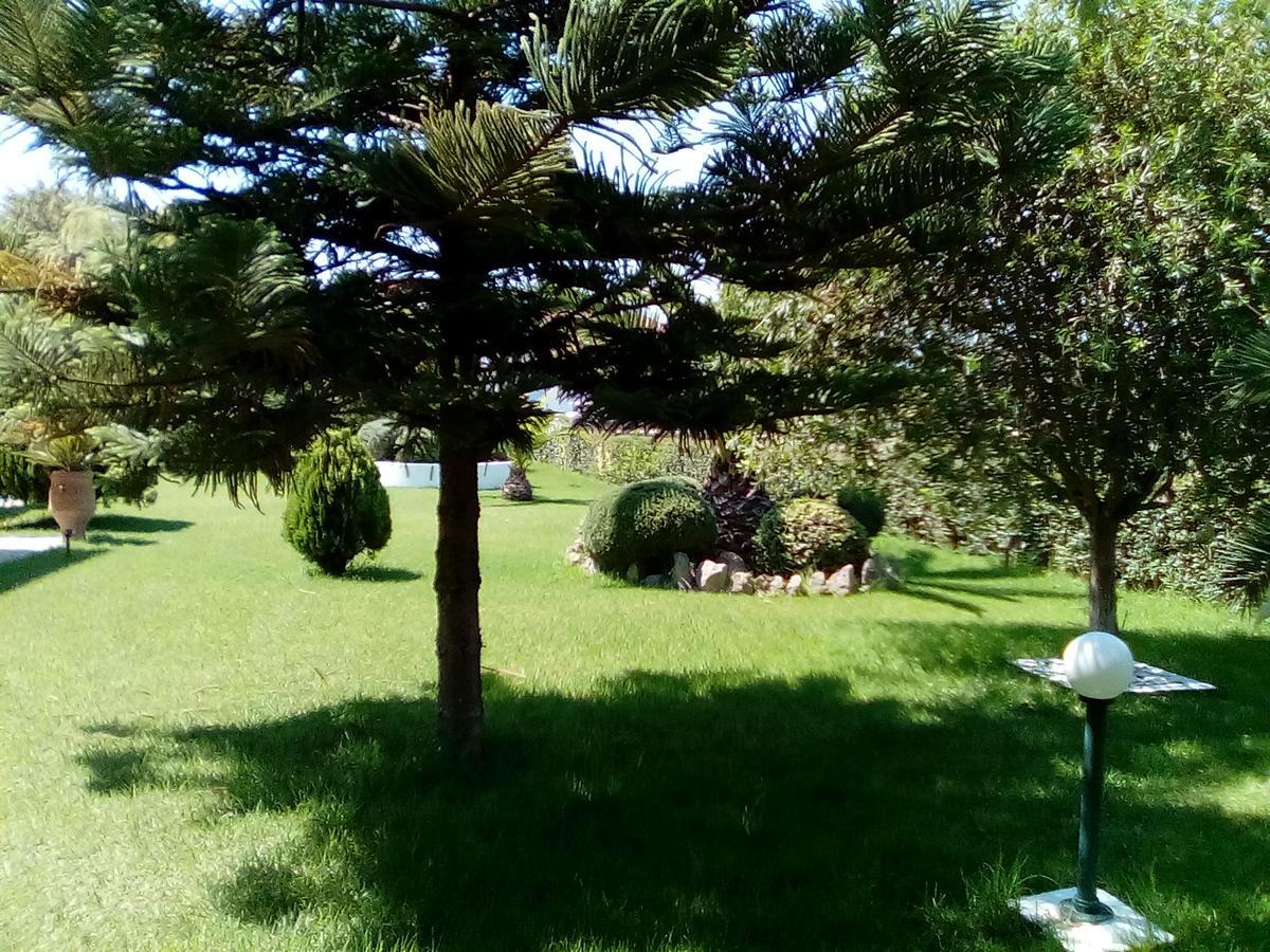 Katerina House Daire Finikounta Dış mekan fotoğraf