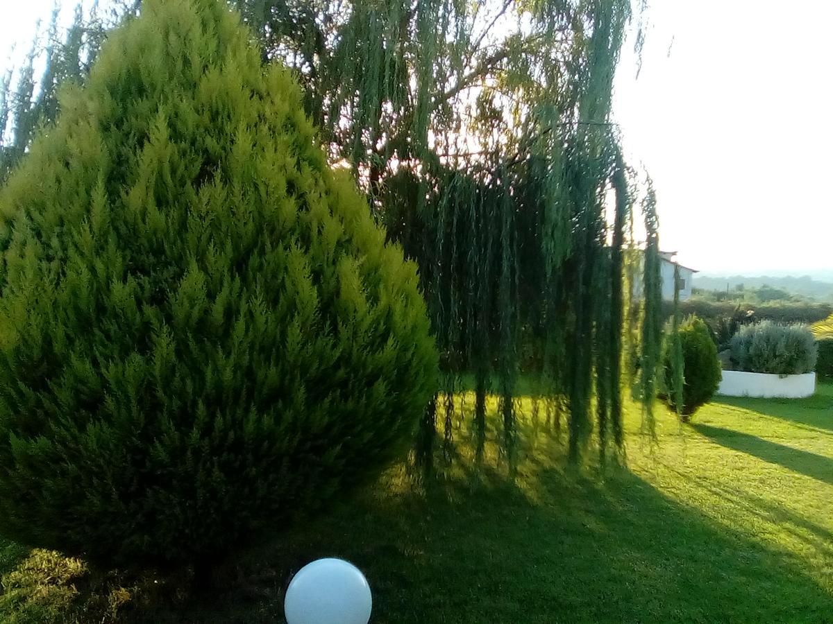 Katerina House Daire Finikounta Dış mekan fotoğraf